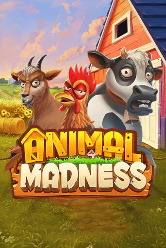 Играть Animal Madness без регистрации | Вулкан Неон бесплатные игры