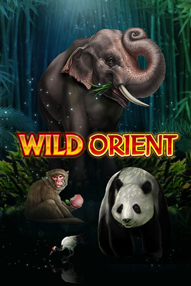 Играть Wild Orient без регистрации | Вулкан Неон бесплатные игры